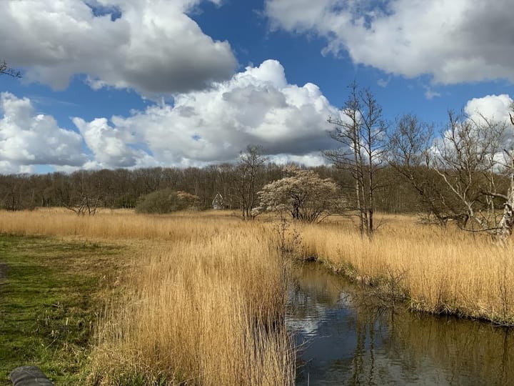 Foto 74 van Troskerslaan 19