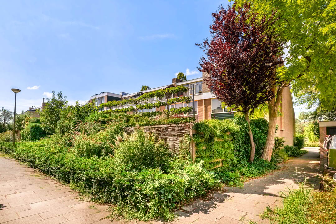 Photo 41 of Dokter W Nijestraat 64