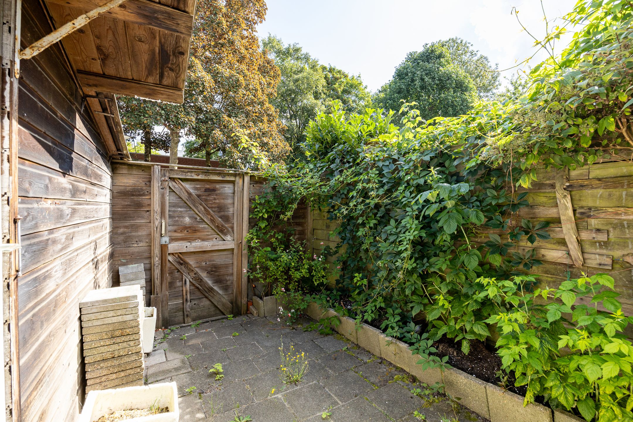 Photo 36 of Agricolastraat 18