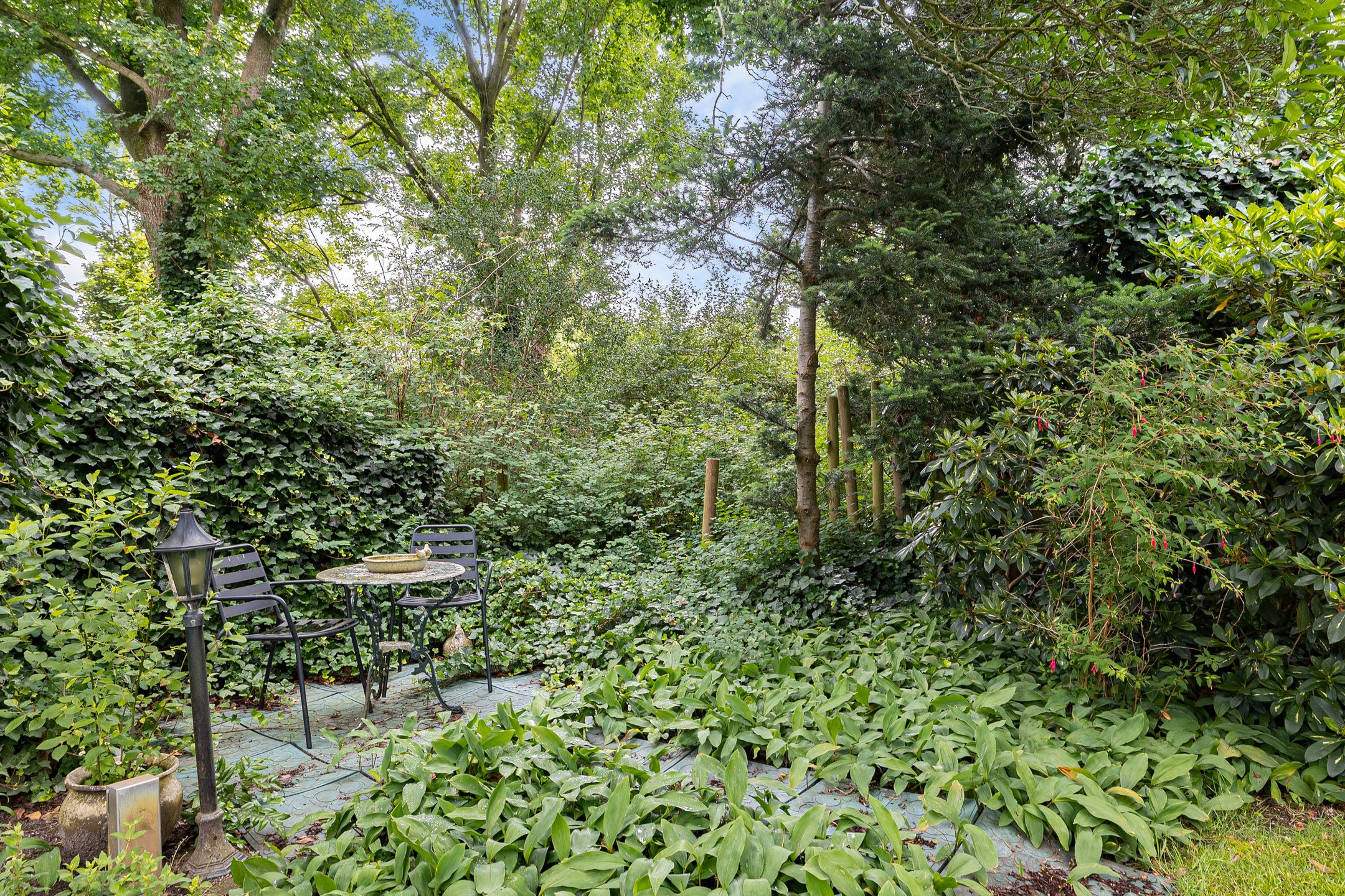 Foto 39 van van Haersoltelaan 6