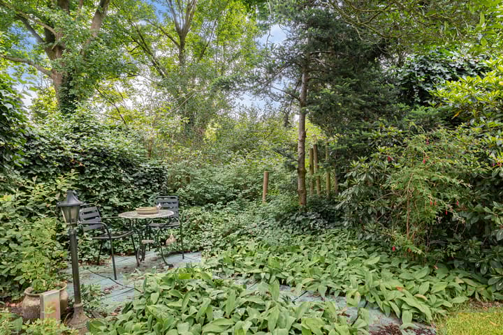 Photo 39 of van Haersoltelaan 6