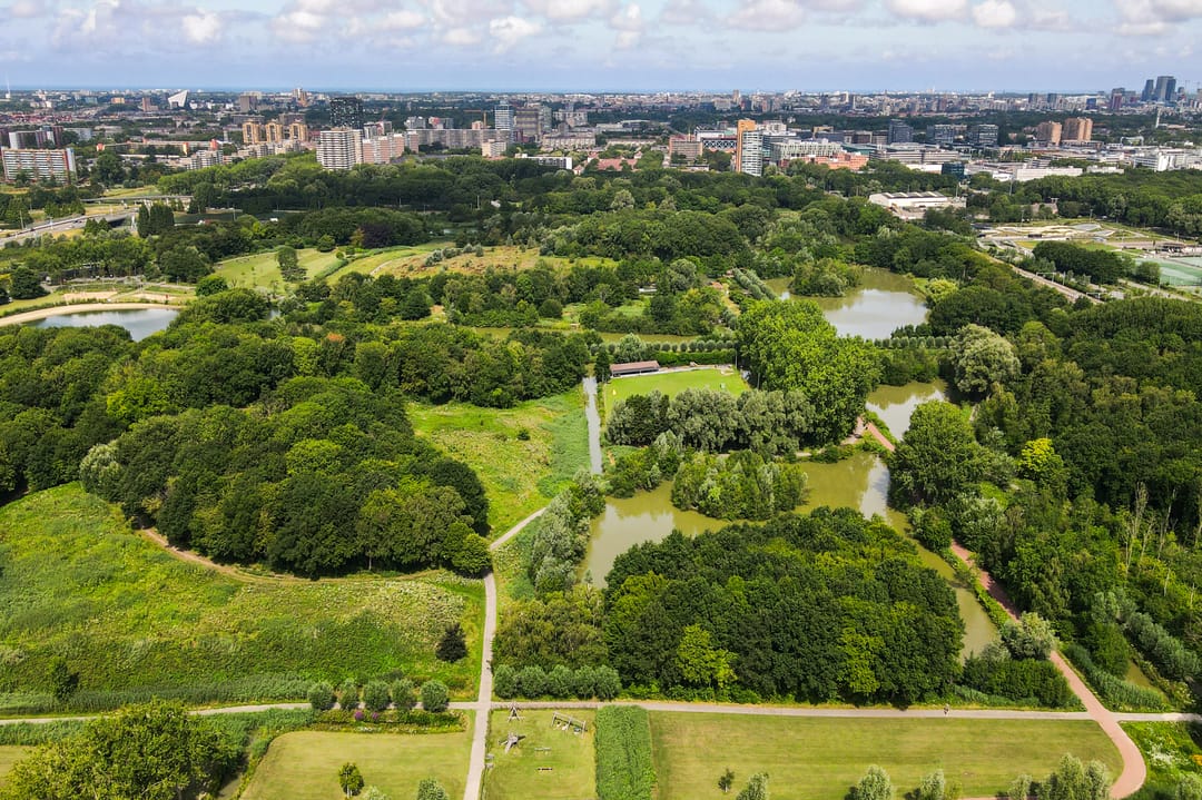 Photo 77 of Citroenvlinderstraat 6