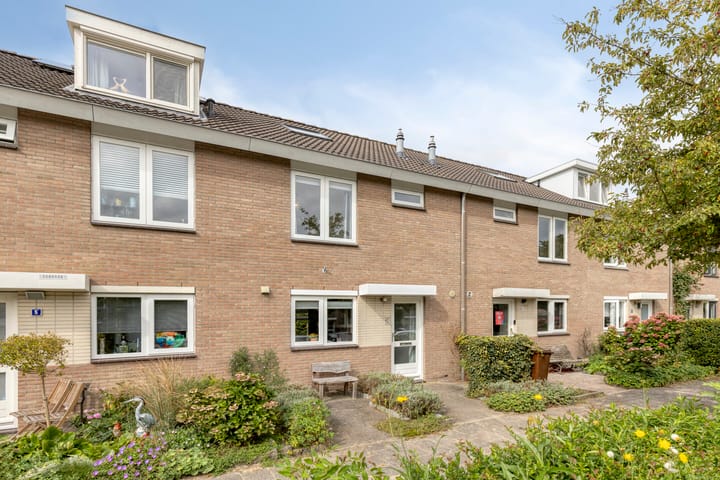 Photo 1 of Fluitekruid 7