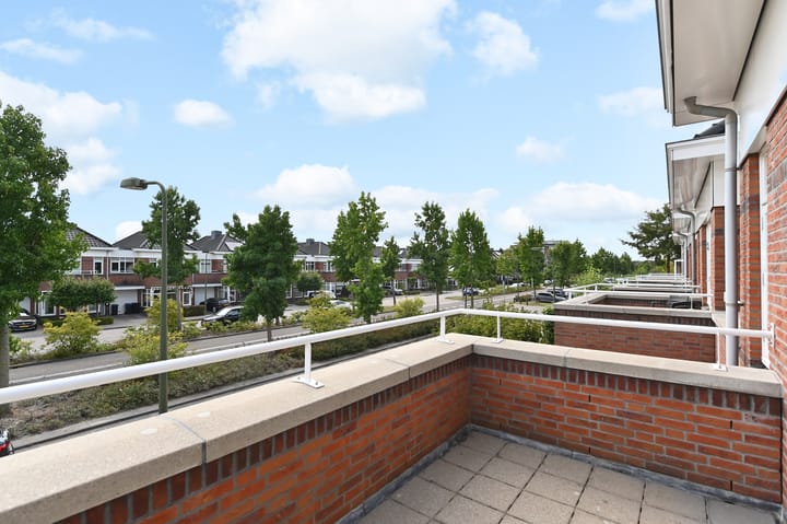 Foto 40 van Groene Loper 66