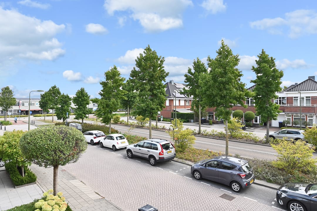 Foto 41 van Groene Loper 66