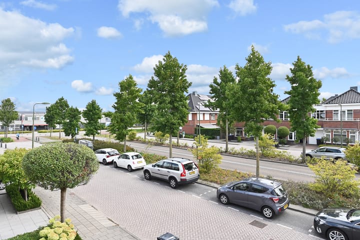 Foto 41 van Groene Loper 66