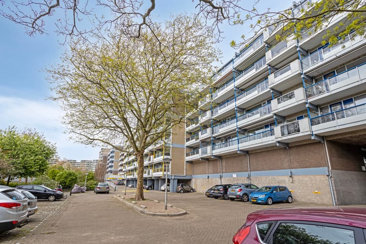 Foto 5 van Forellendaal 501