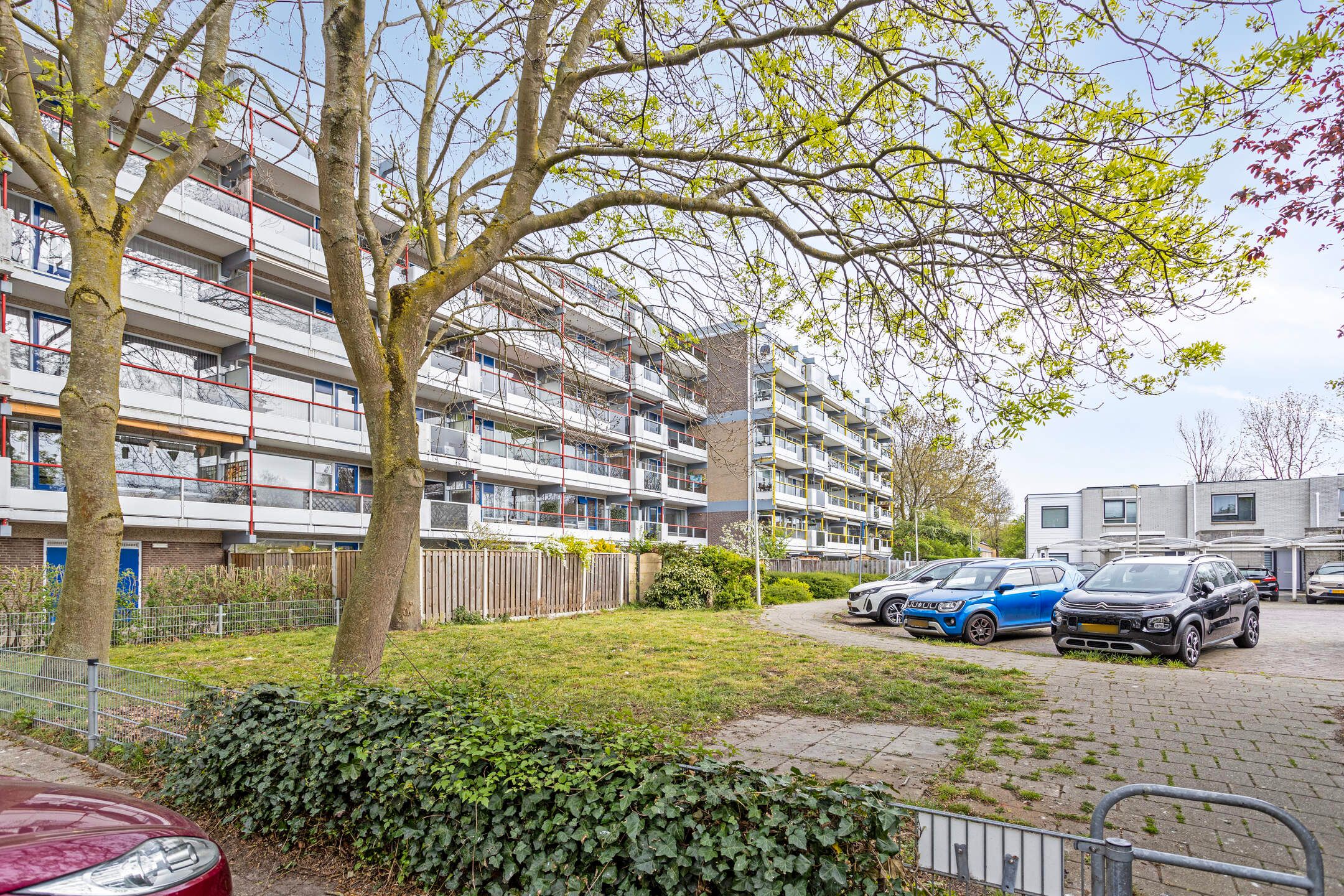 Foto 6 van Forellendaal 501