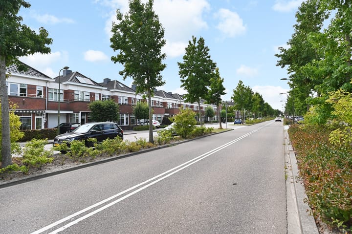 Foto 61 van Groene Loper 66