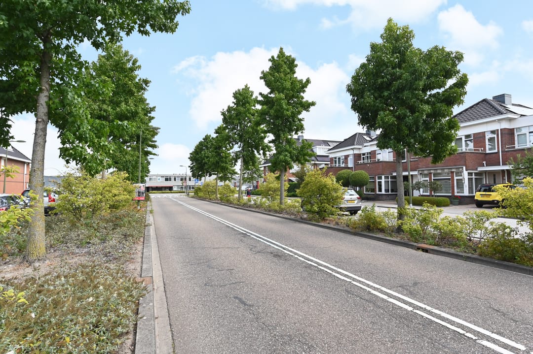 Foto 62 van Groene Loper 66