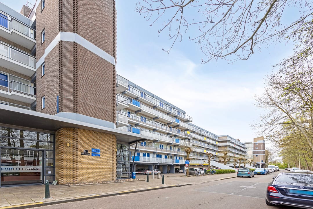 Foto 26 van Forellendaal 501