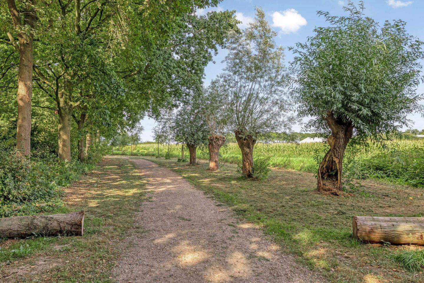 Photo 35 of Klaverweide 19