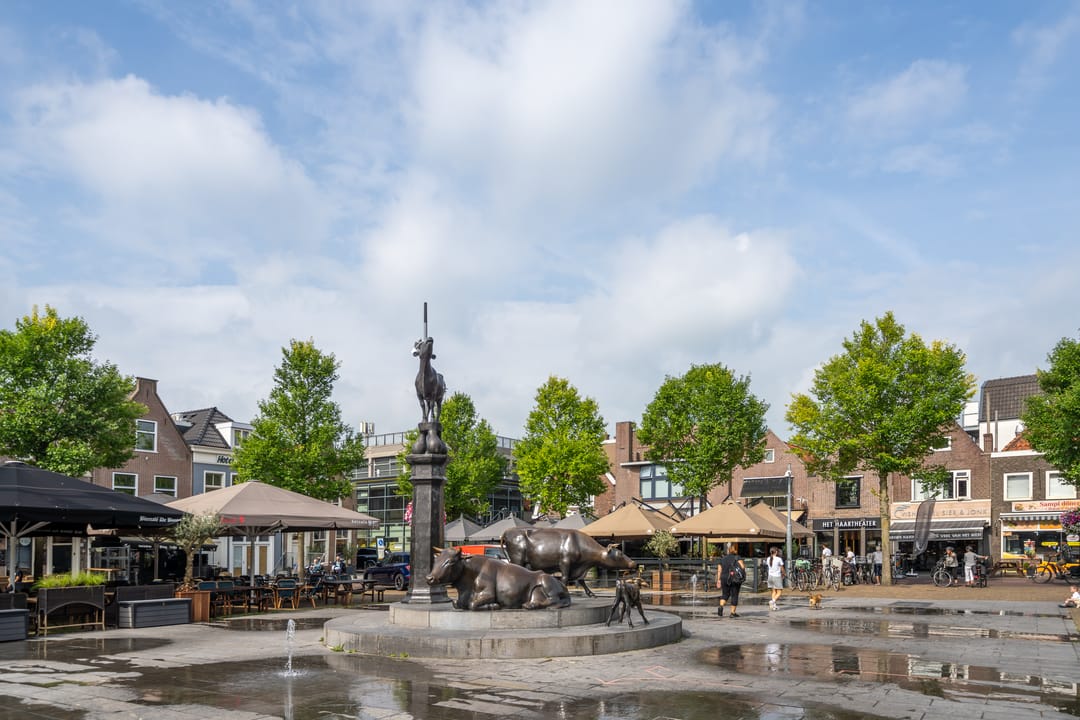 Foto 46 van Molenplantsoen 4