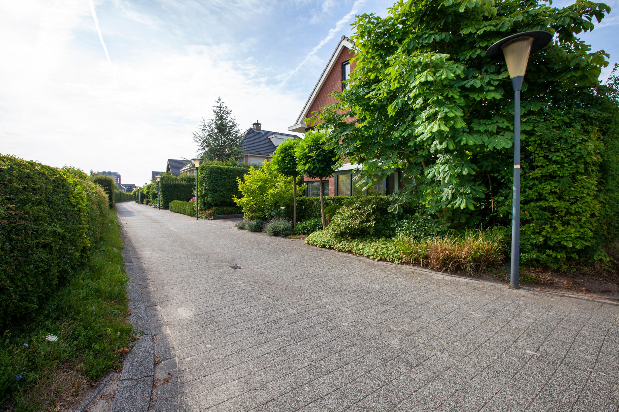 Foto 51 van Eufraatstroom 17