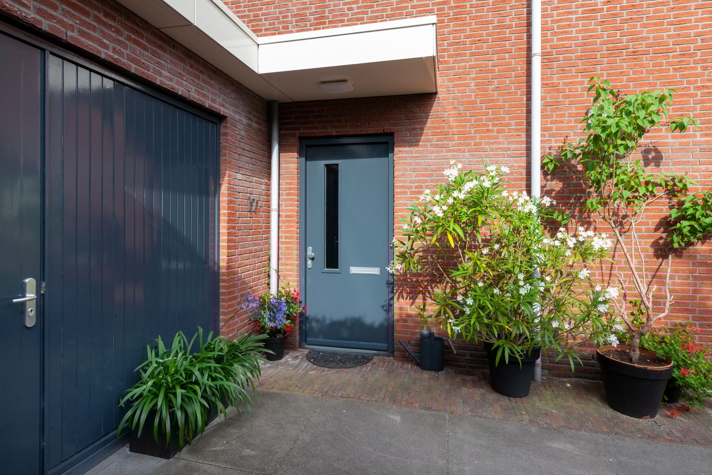 Foto 55 van Eufraatstroom 17