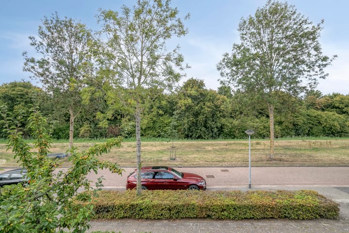 Foto 41 van Menuetstraat 11