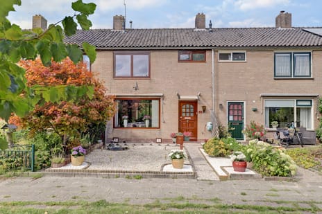 undefined main image