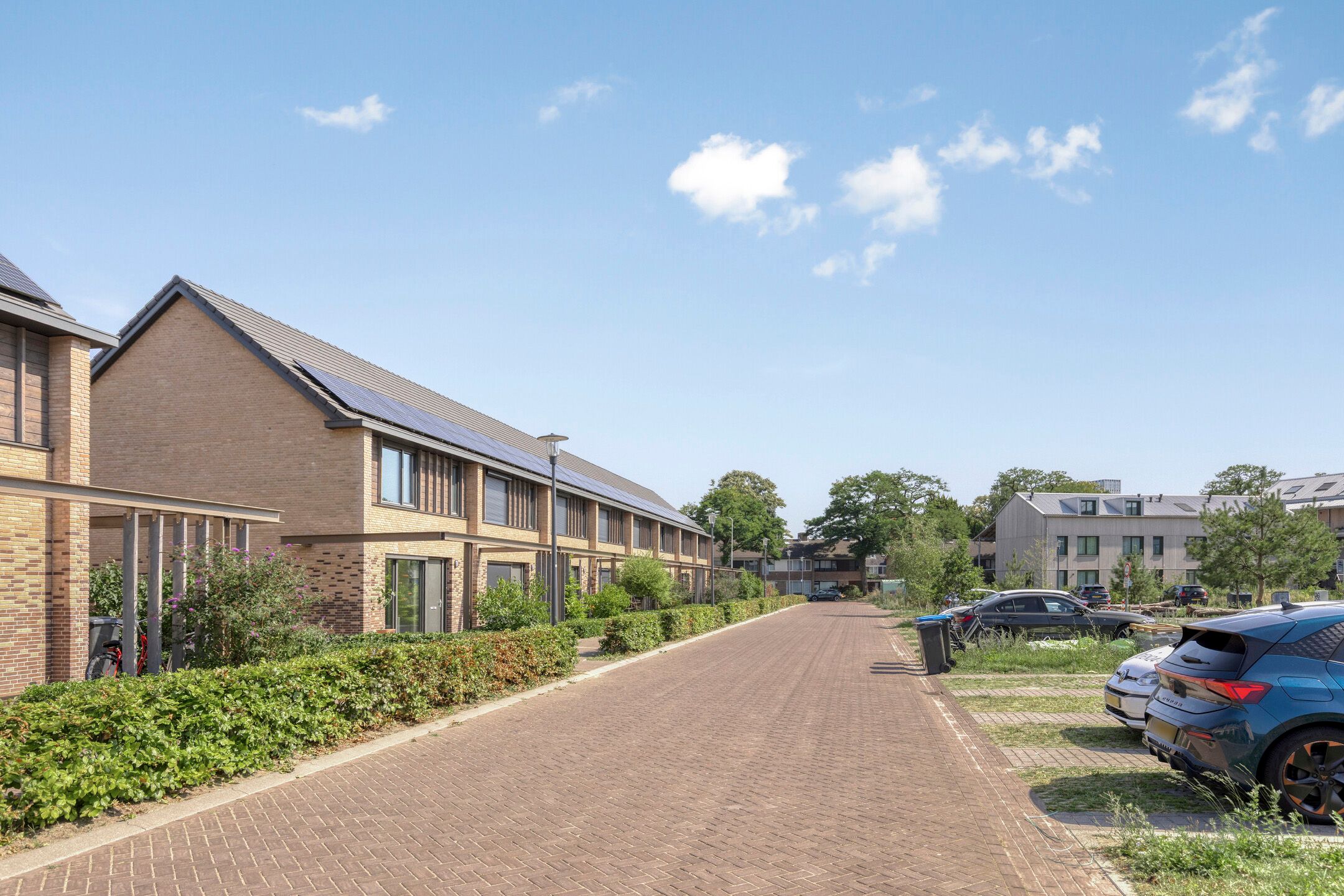 Foto 6 van Grenenhout 15