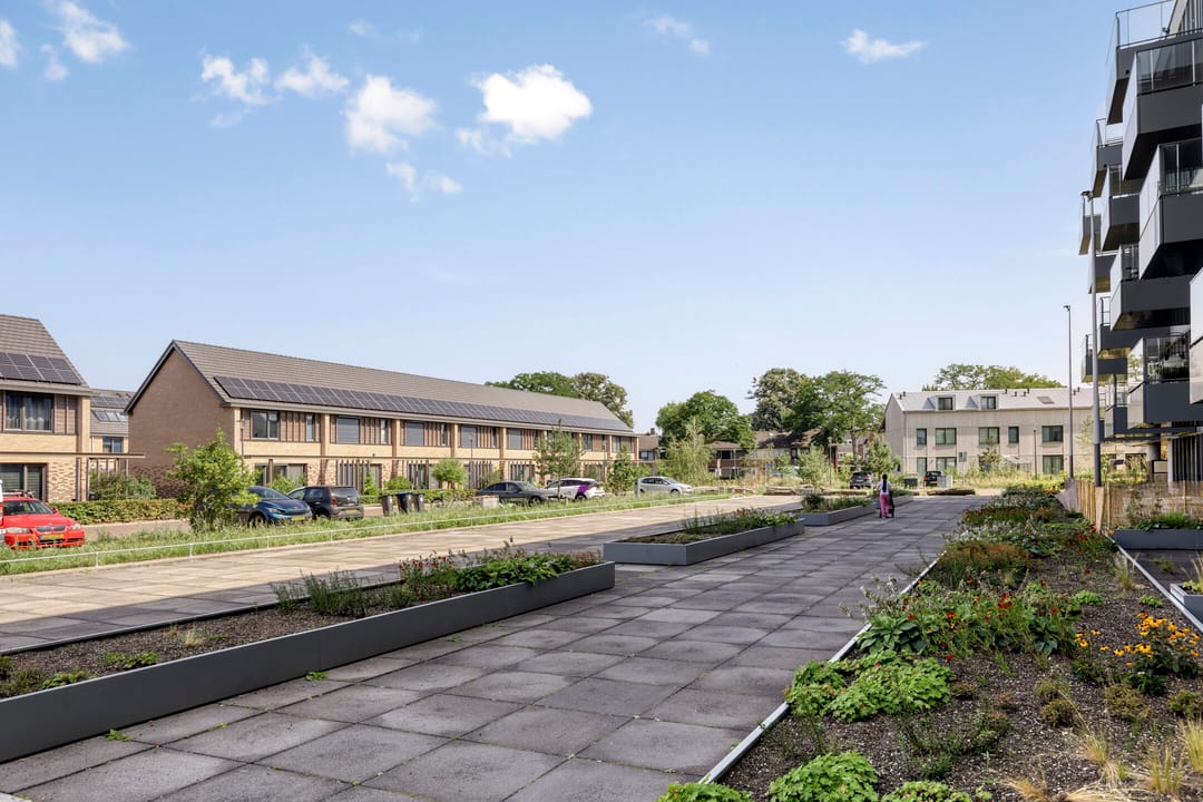 Foto 7 van Grenenhout 15