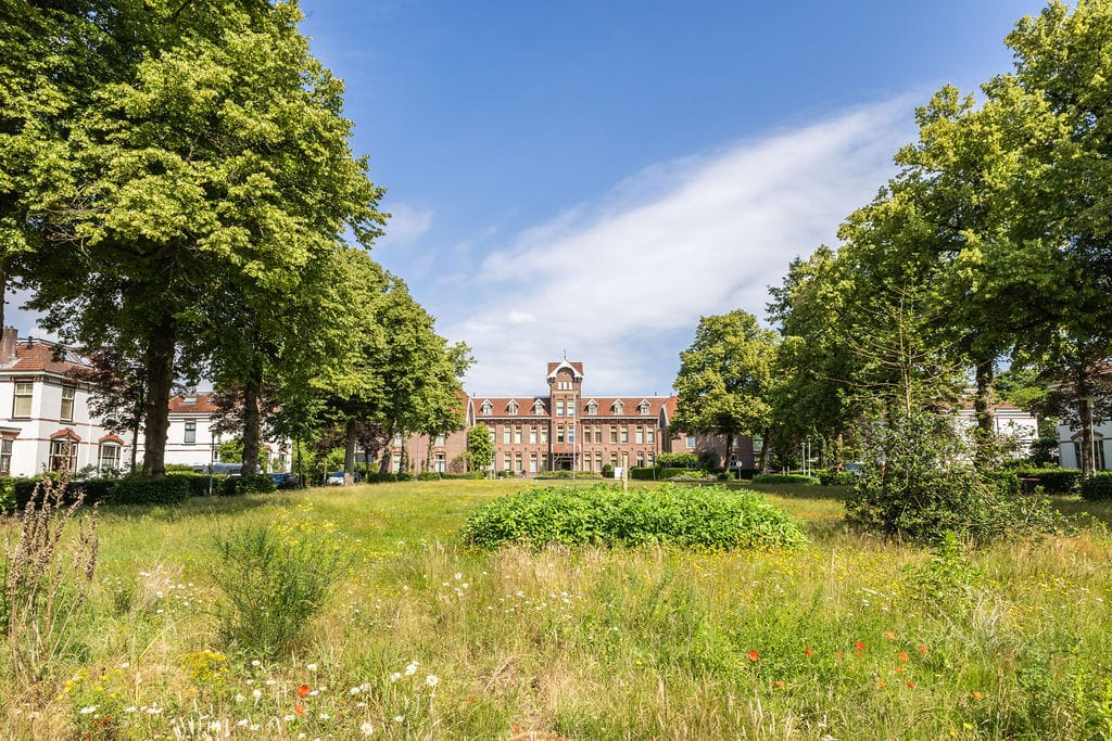 Foto 57 van Koningin Beatrixplantsoen 48