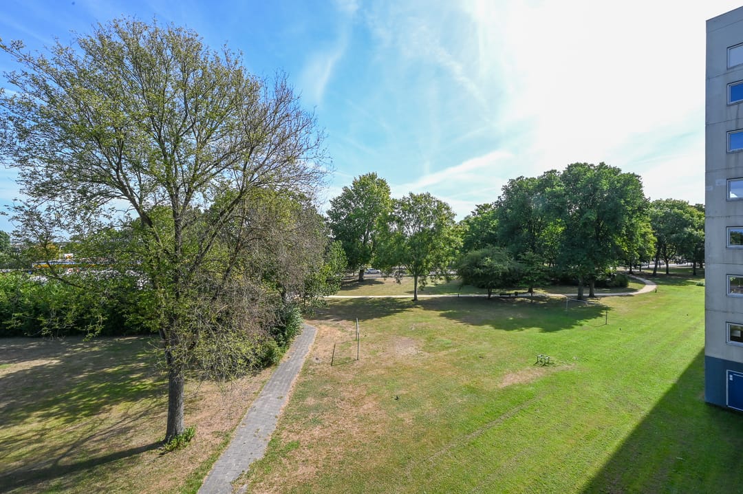 Foto 8 van Buizerdstraat 144