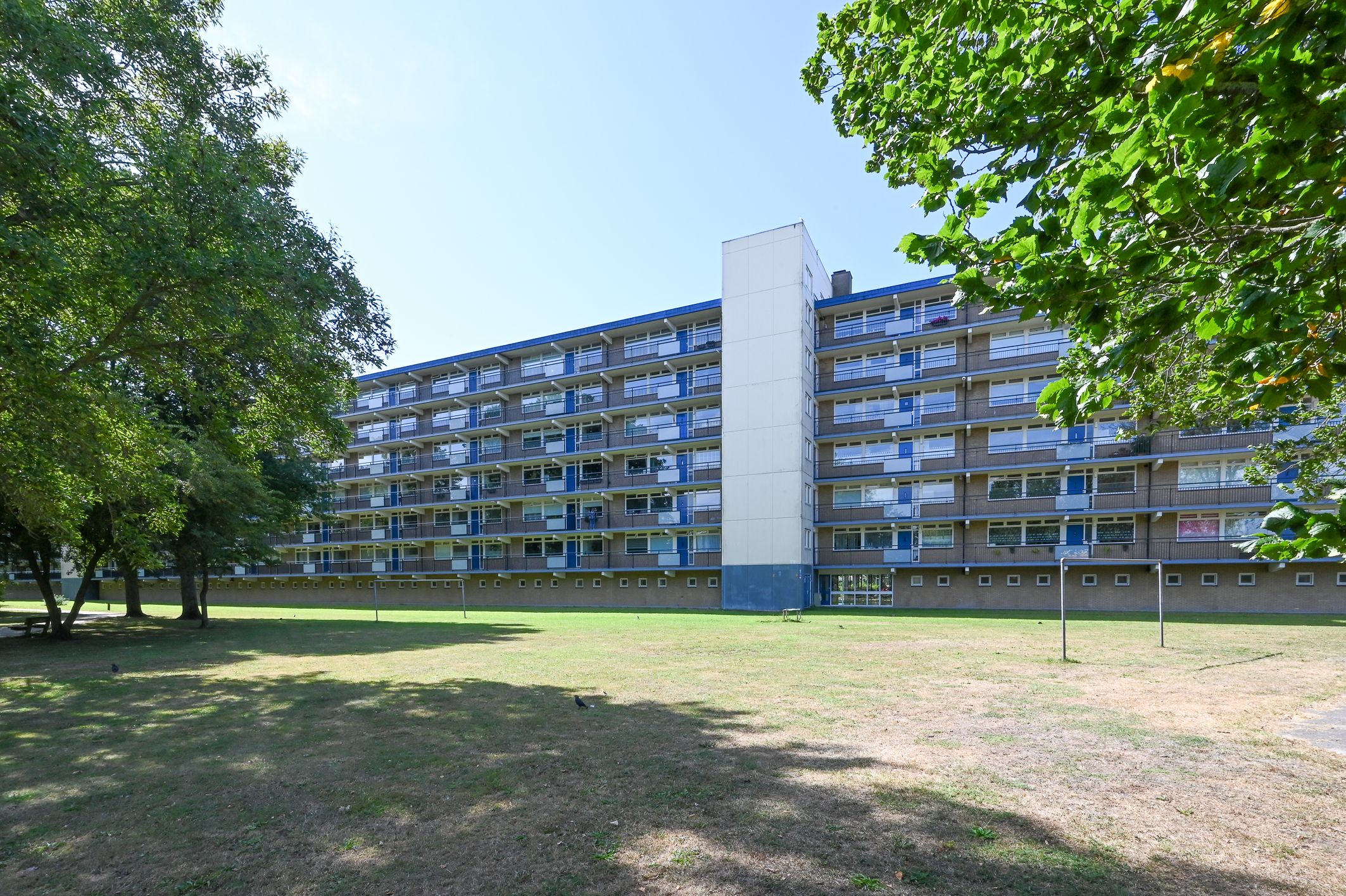 Foto 36 van Buizerdstraat 144