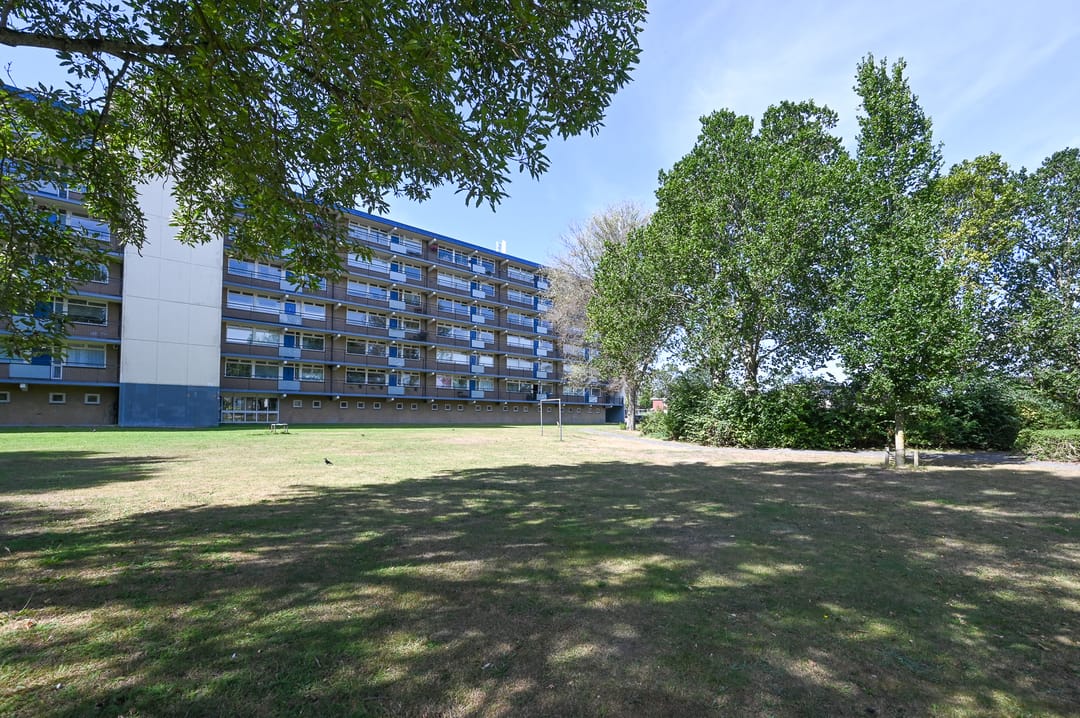 Foto 37 van Buizerdstraat 144