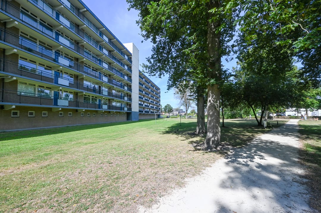 Foto 38 van Buizerdstraat 144