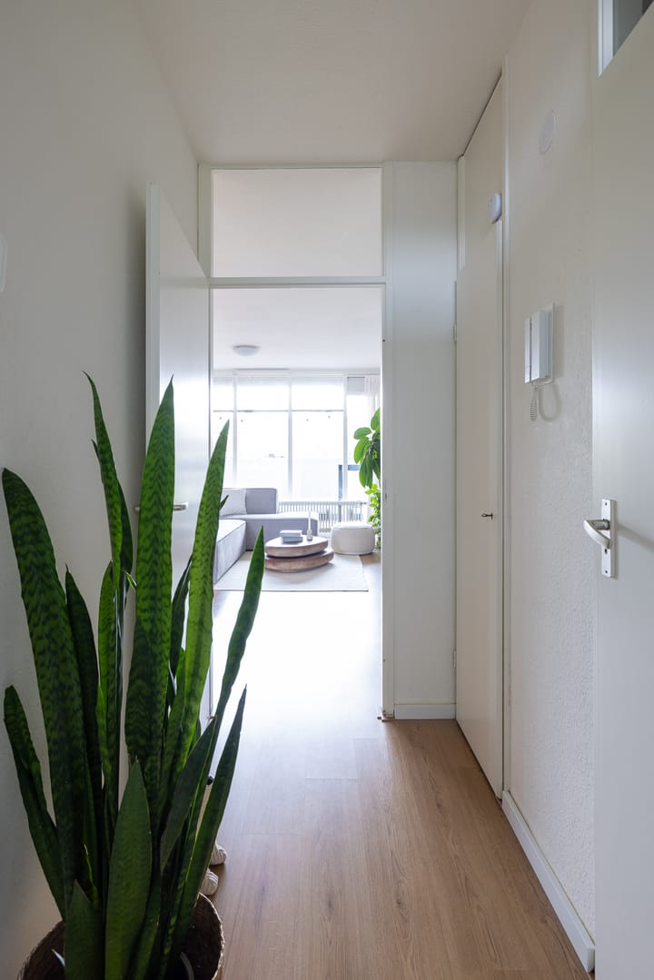 Foto 25 van Sint-Jacobsplaats 84