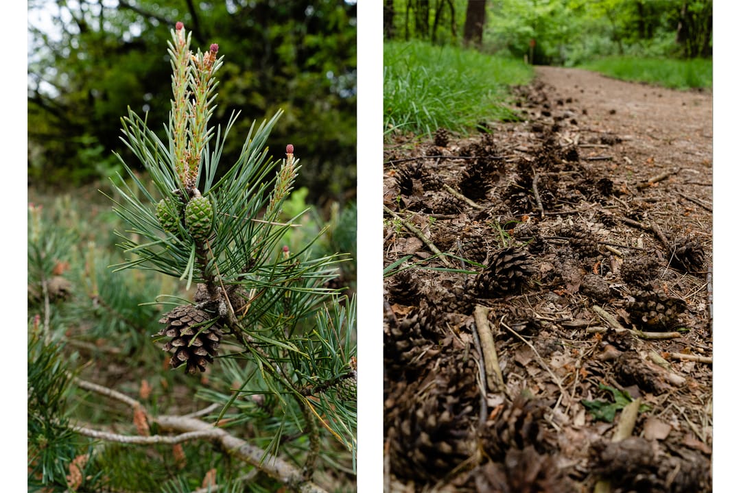 Photo 41 of Kerkendelweg 30-98