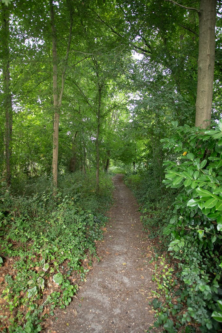 Foto 89 van Almelosestraat 23