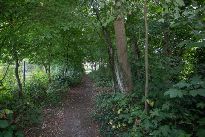 Foto 91 van Almelosestraat 23