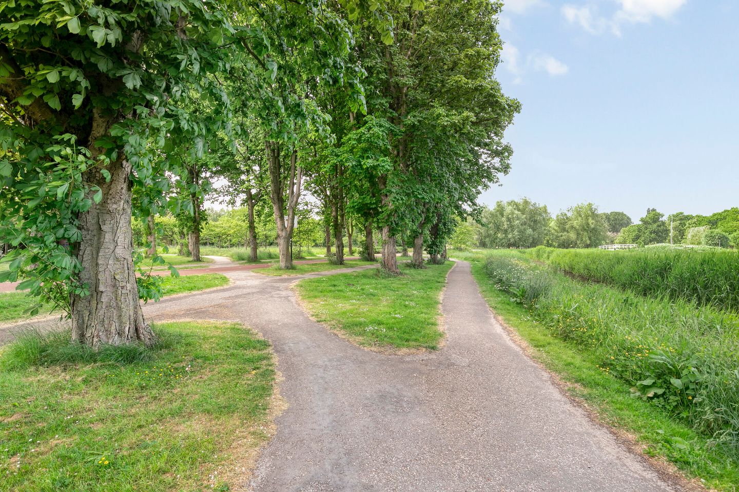 Foto 34 van Schepenlaan 116