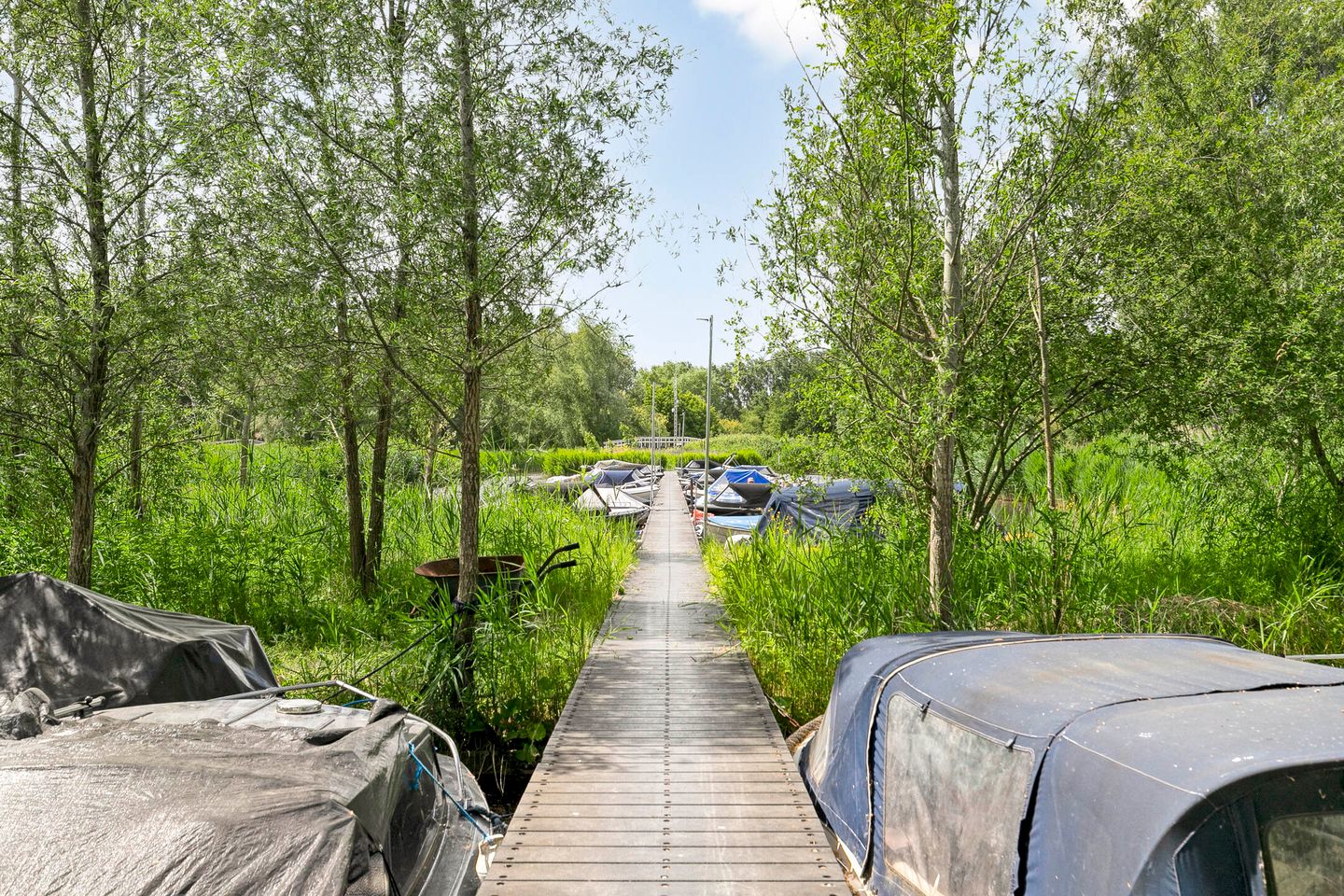 Foto 35 van Schepenlaan 116