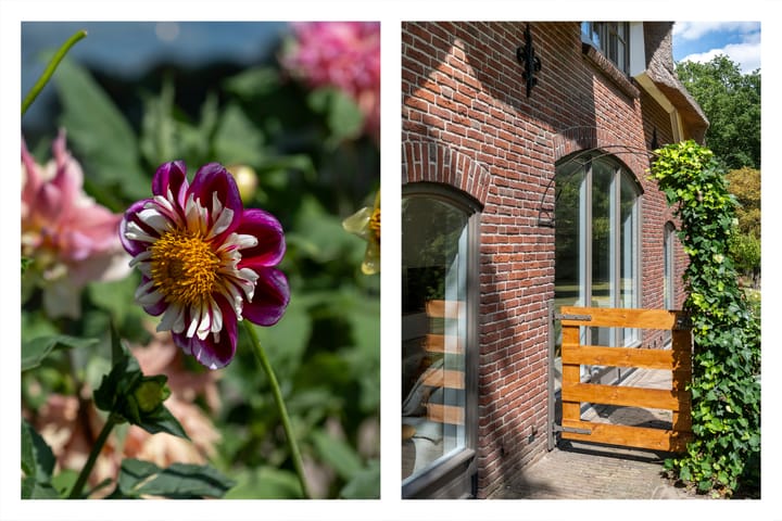 Foto 42 van Braakmanssteeg 8