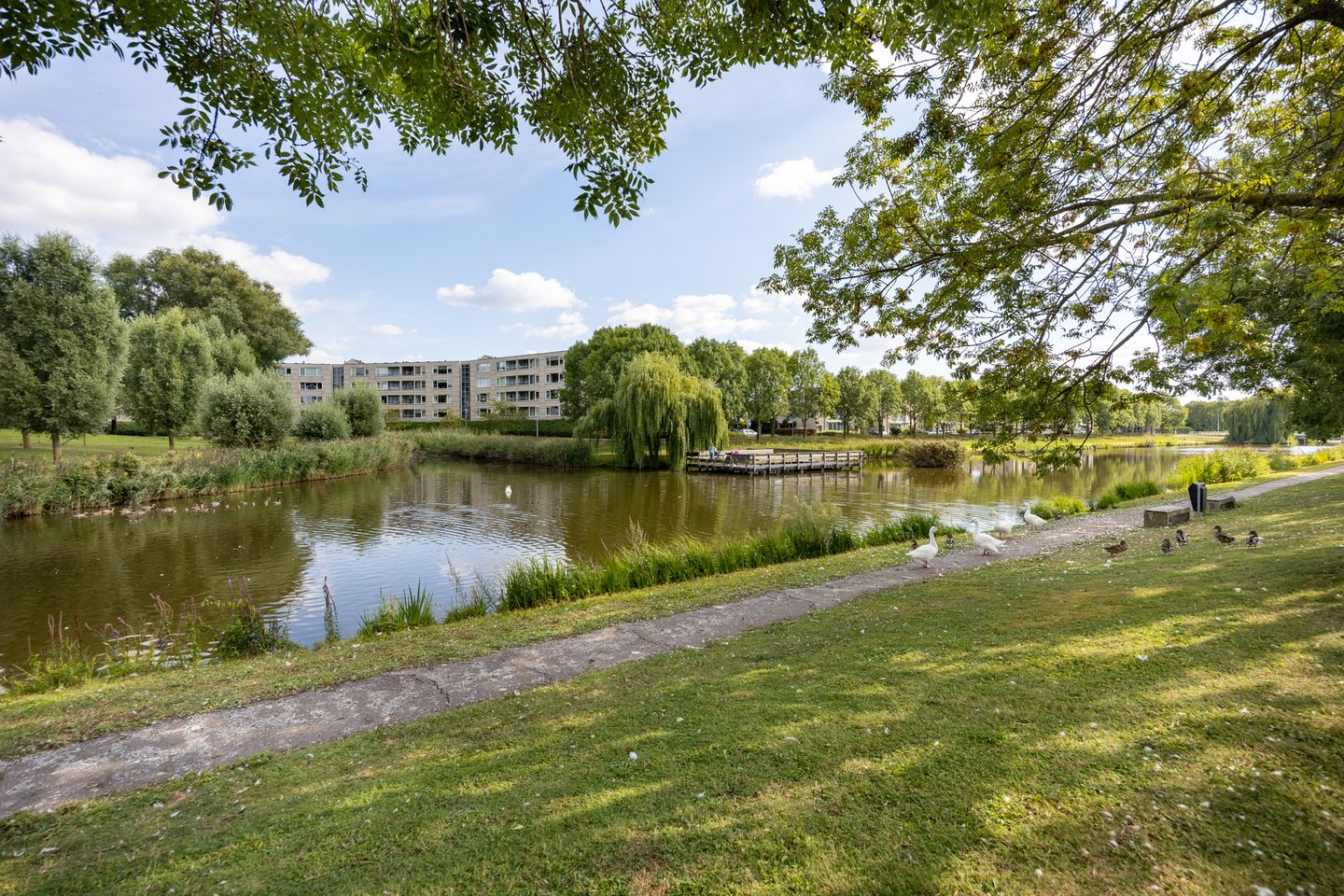 Foto 40 van Maria Rutgerslaan 11