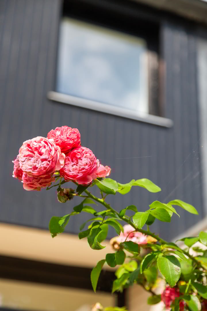 Foto 43 van Numansgors 85