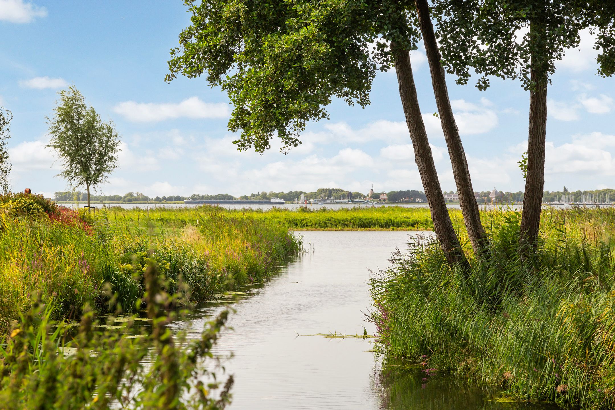 Photo 45 of Numansgors 85