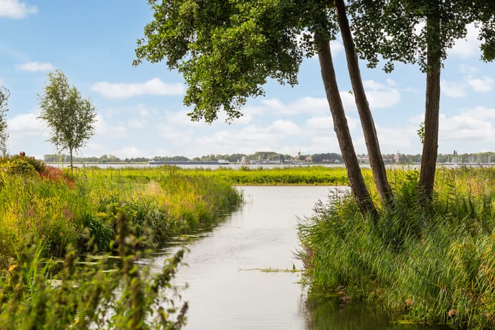 Foto 45 van Numansgors 85