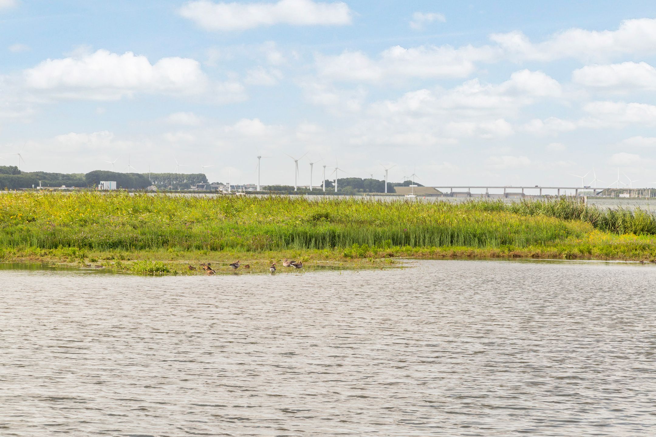 Photo 48 of Numansgors 85