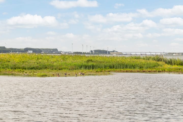 Foto 48 van Numansgors 85