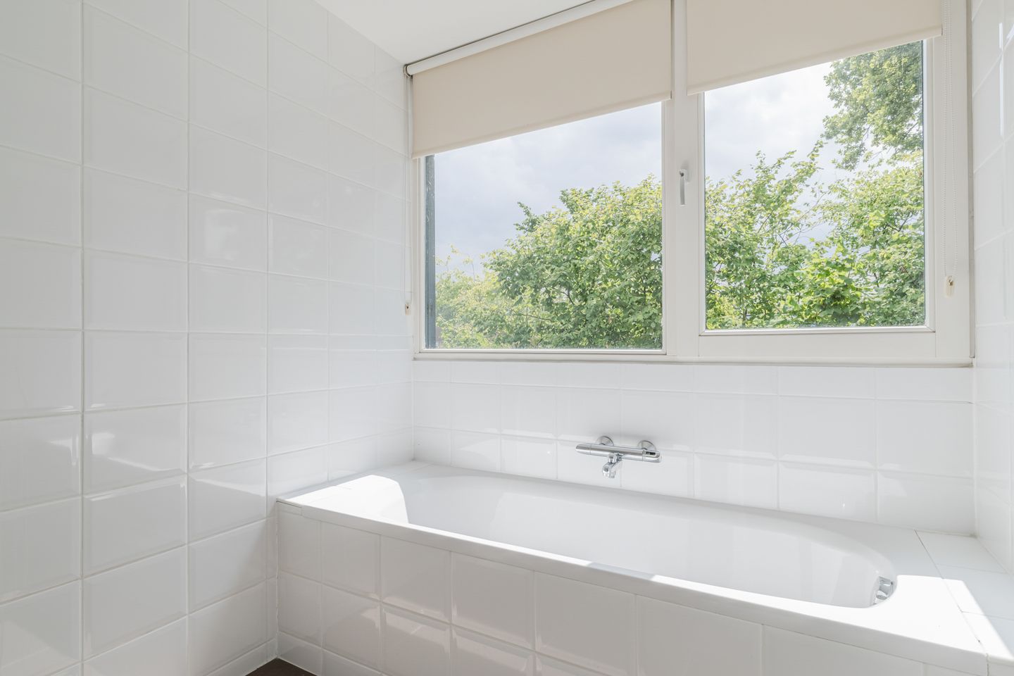 Foto 50 van Verjaagde Ruiterweg 13