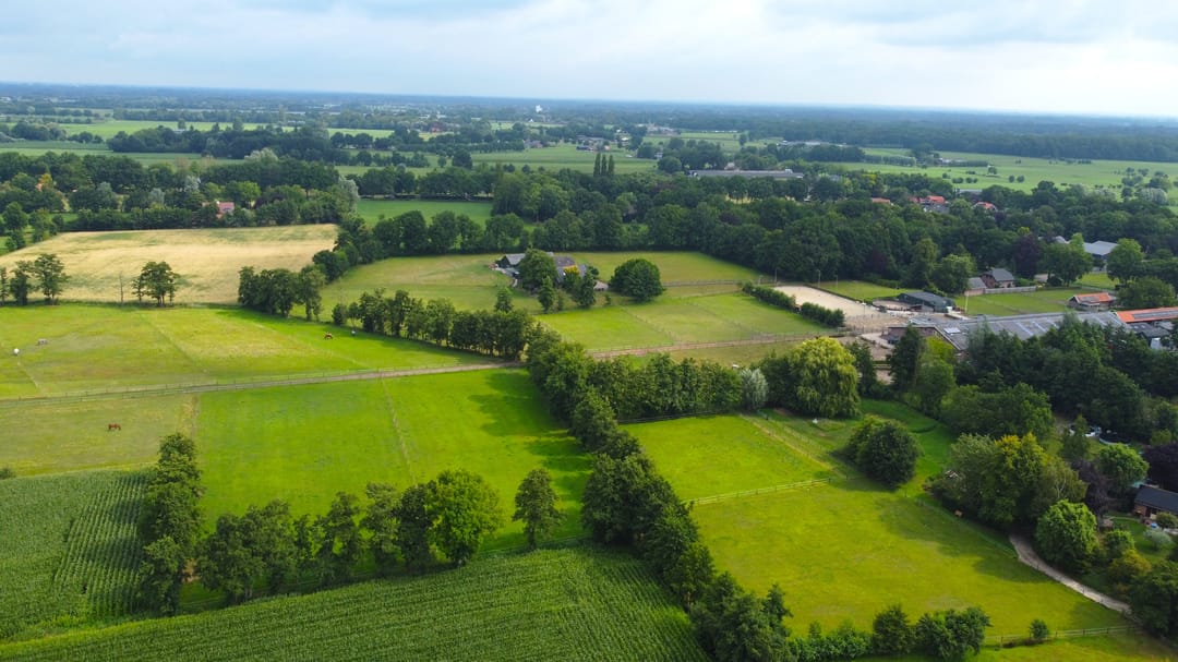 Foto 71 van Verjaagde Ruiterweg 13