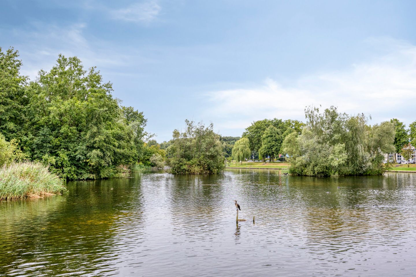 Foto 25 van Stradivariusstraat 193