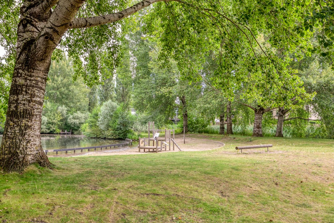 Foto 26 van Stradivariusstraat 193