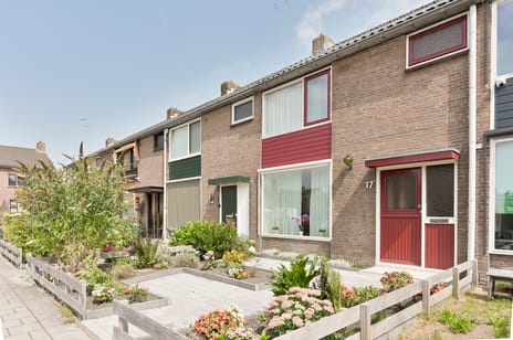 undefined main image