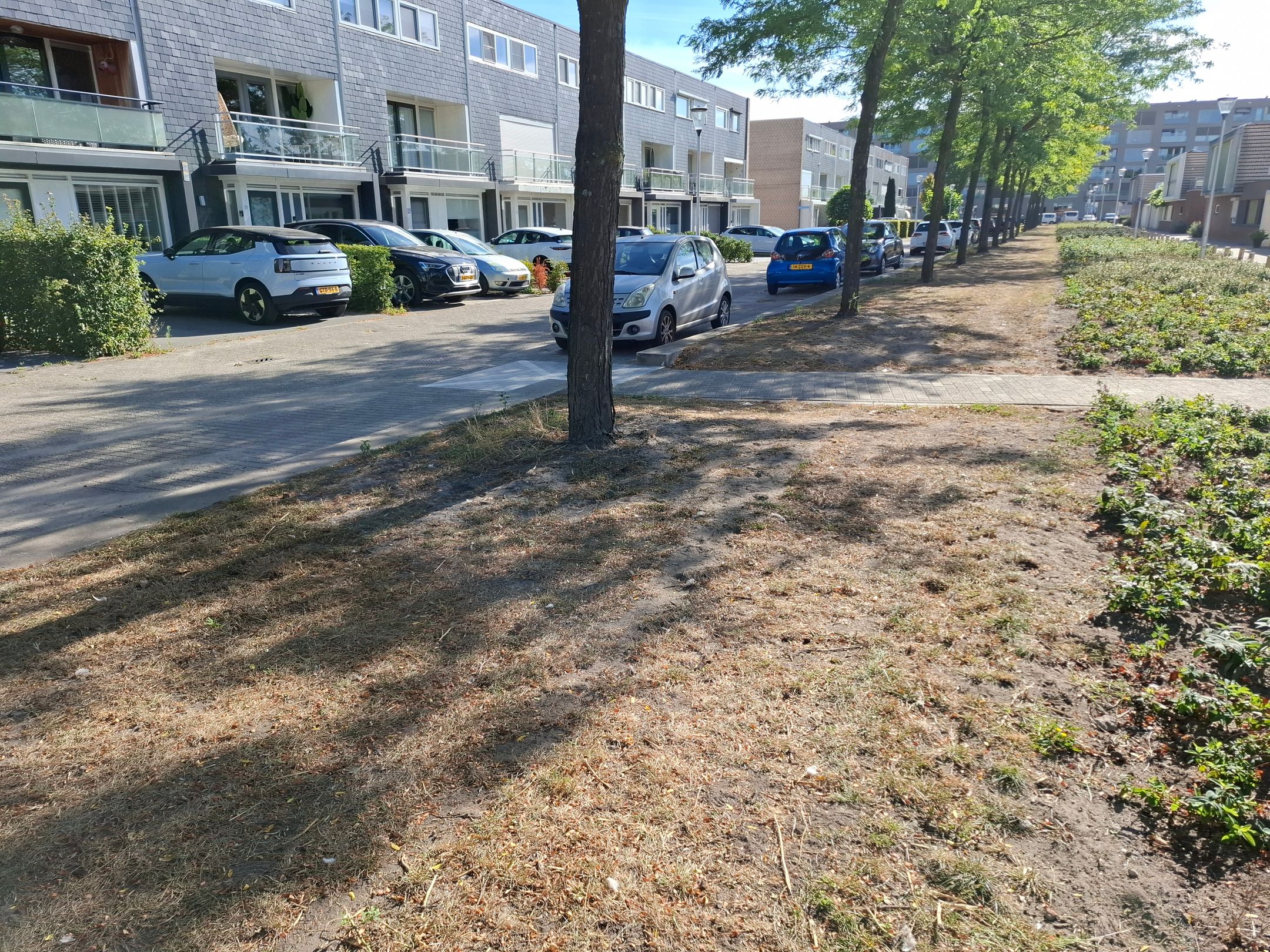 Photo 42 of Odiliapeelstraat 33