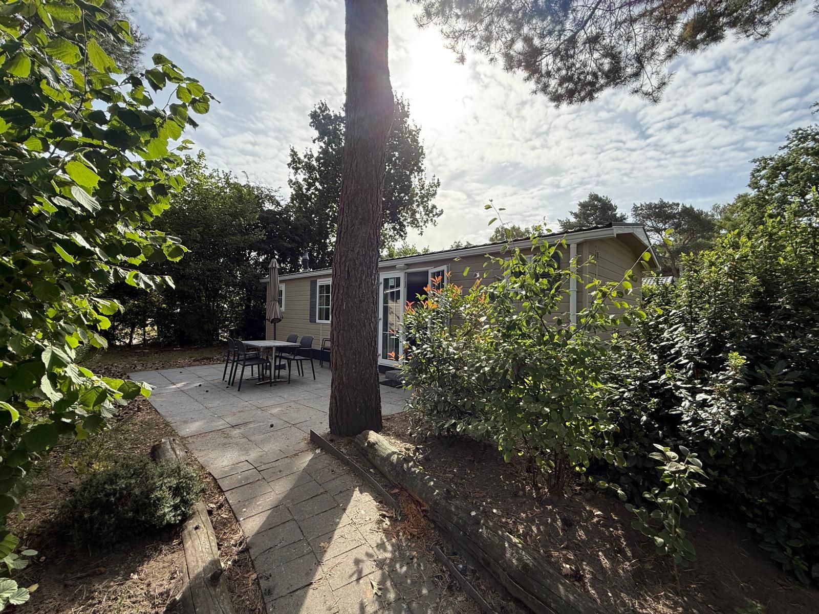 Photo 3 of Arnhemseweg 100-503