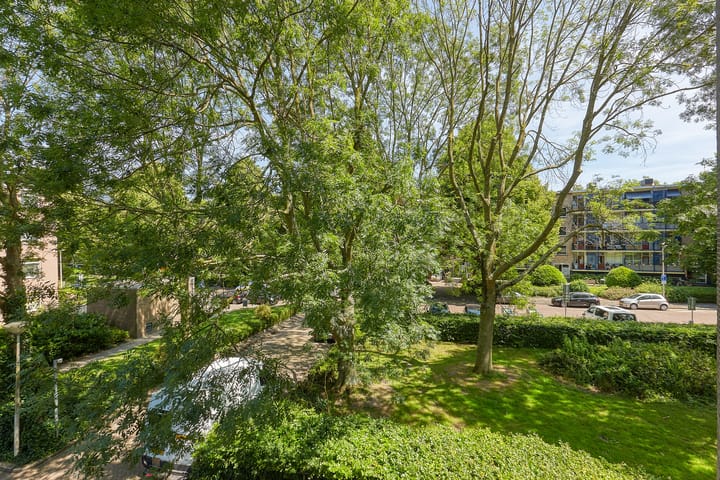 Foto 13 van Roggekamp 289