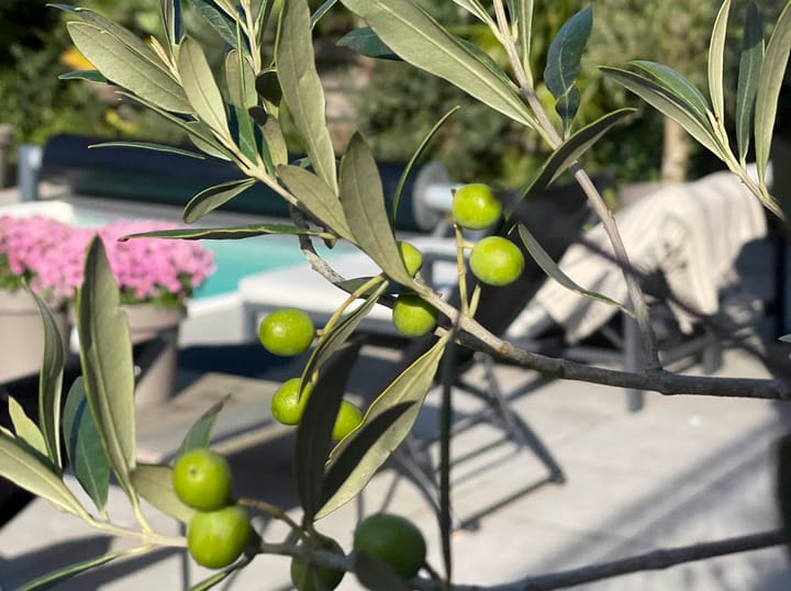 Foto 17 van Eimbrink 1